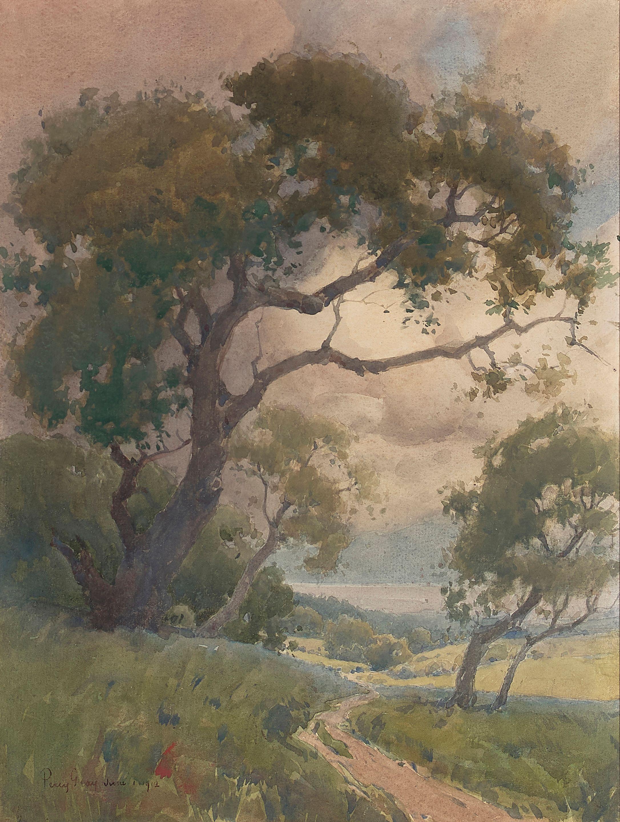 Percy Gray - Summer Oaks