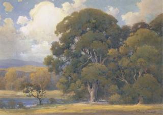 Percy Gray - The Large Oak