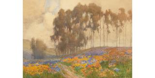 Percy Gray - Wildflowers sheet 10 x 14 in. framed 13 1/2 x 17 1/2 in.