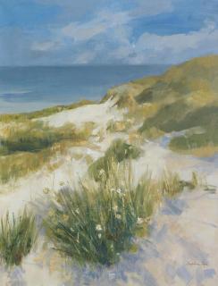 Perpetua Pope - Dunes, Barra