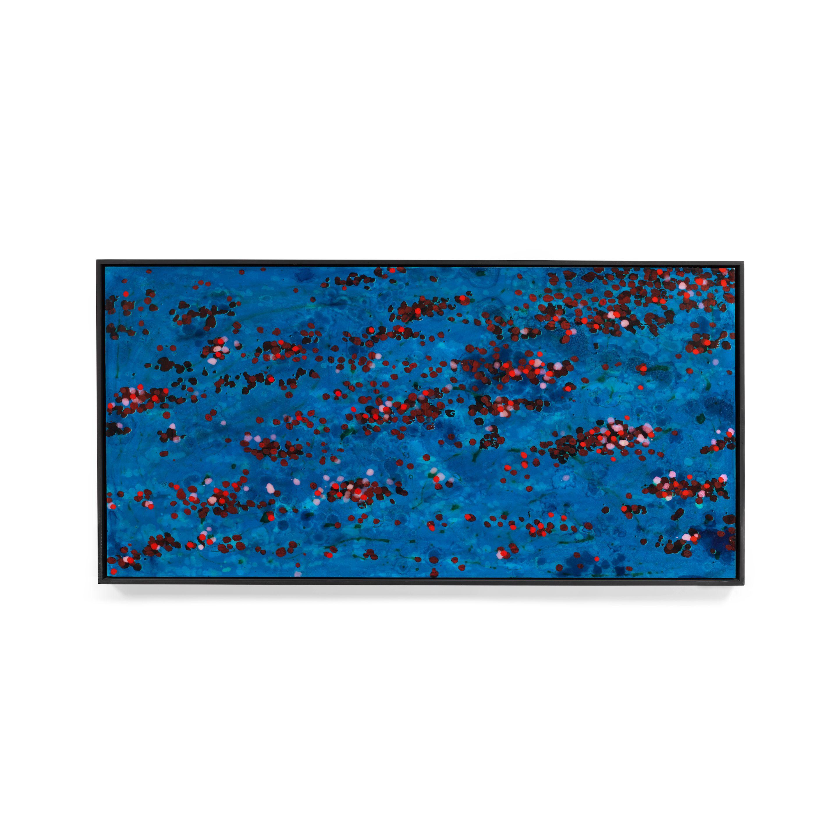 Peter Alexander - Cordonazo (from the Aqua series), 2005-2008