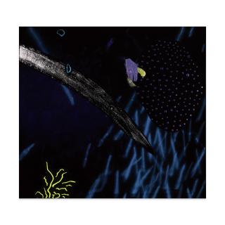 Peter Alexander - Dirona From The Catalina Series, 1984