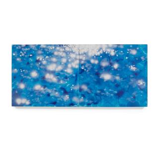 Peter Alexander - Fish, 2005