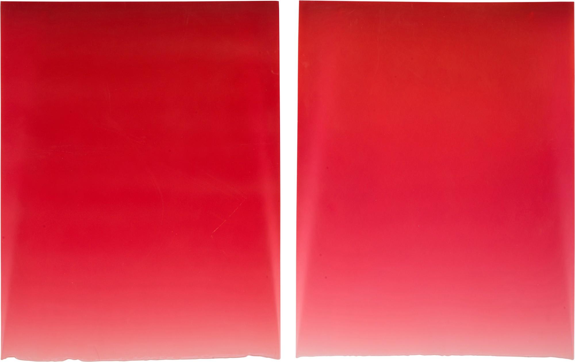 Peter Alexander - Tulip