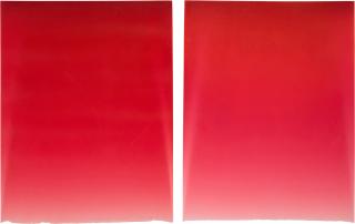 Peter Alexander - Tulip