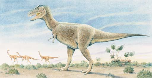 Peter Barrett - A quantity of illustrations including: A stegosaurus eating; A tyrannosaurus looking for prey; Baby dinosaurs hatching; A panda eating bamboo surrounded by other animals; and an English estuary scene with sea birds