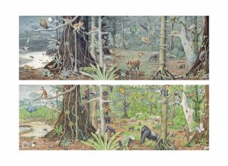 Peter Barrett - African Jungle: Night And Day - Two Diptychs