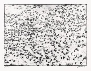 Peter Beard - 965 Elephants, Starvo, 1978