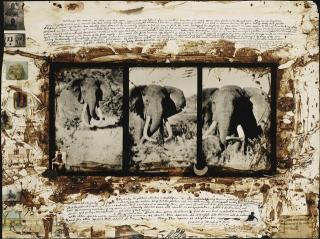 Peter Beard - Ahmed Triptych, March 1962/Circa 1990S