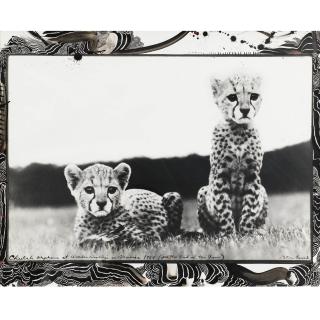 Peter Beard - \'Cheetah Orphans At Warden Woodley\'S In Mweiga (For The End Of The Game)\', 1968