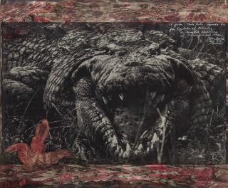 Peter Beard - Crocodile - 15 footer, Chobi Falls, Uganda, 1966