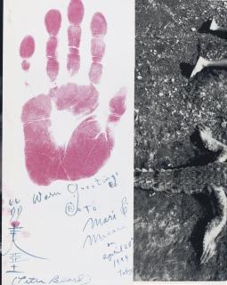 Peter Beard - Diary. From a Dead Man\'s Wallet: Confessions of a Bookmaker. Tokyo: Libro Port Publishing, 1993.