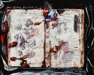 Peter Beard - Diary Page, Thurs-Fri 27-28 June