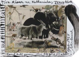 Peter Beard - Eland Bull Passes Eles Digging For Water, February 1965