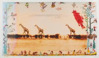 Peter Beard - Giraffes in Mirage on the Taru Desert, June 1960, for \