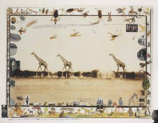 Peter Beard - Giraffes In Mirage On The Taru Desert, Kenya, June 1960, For \'The End Of The Game, Last Word From Paradise\'