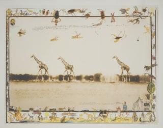 Peter Beard - Giraffes in Mirage on the Taru Desert, Kenya, June 1960