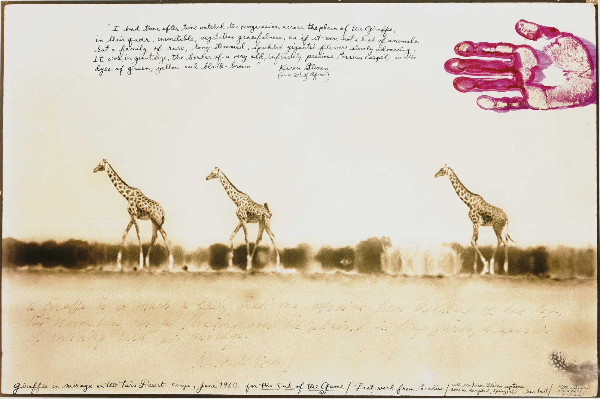 Peter Beard - Giraffes In Mirage On The Taru Desert, Kenya, June 1960