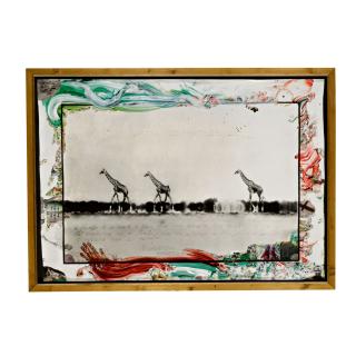 Peter Beard - \'Giraffes In Mirage On The Taru Desert, Kenya\'