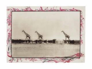 Peter Beard - Giraffes in Mirage on the Taru Dessert, Kenya, June 1960