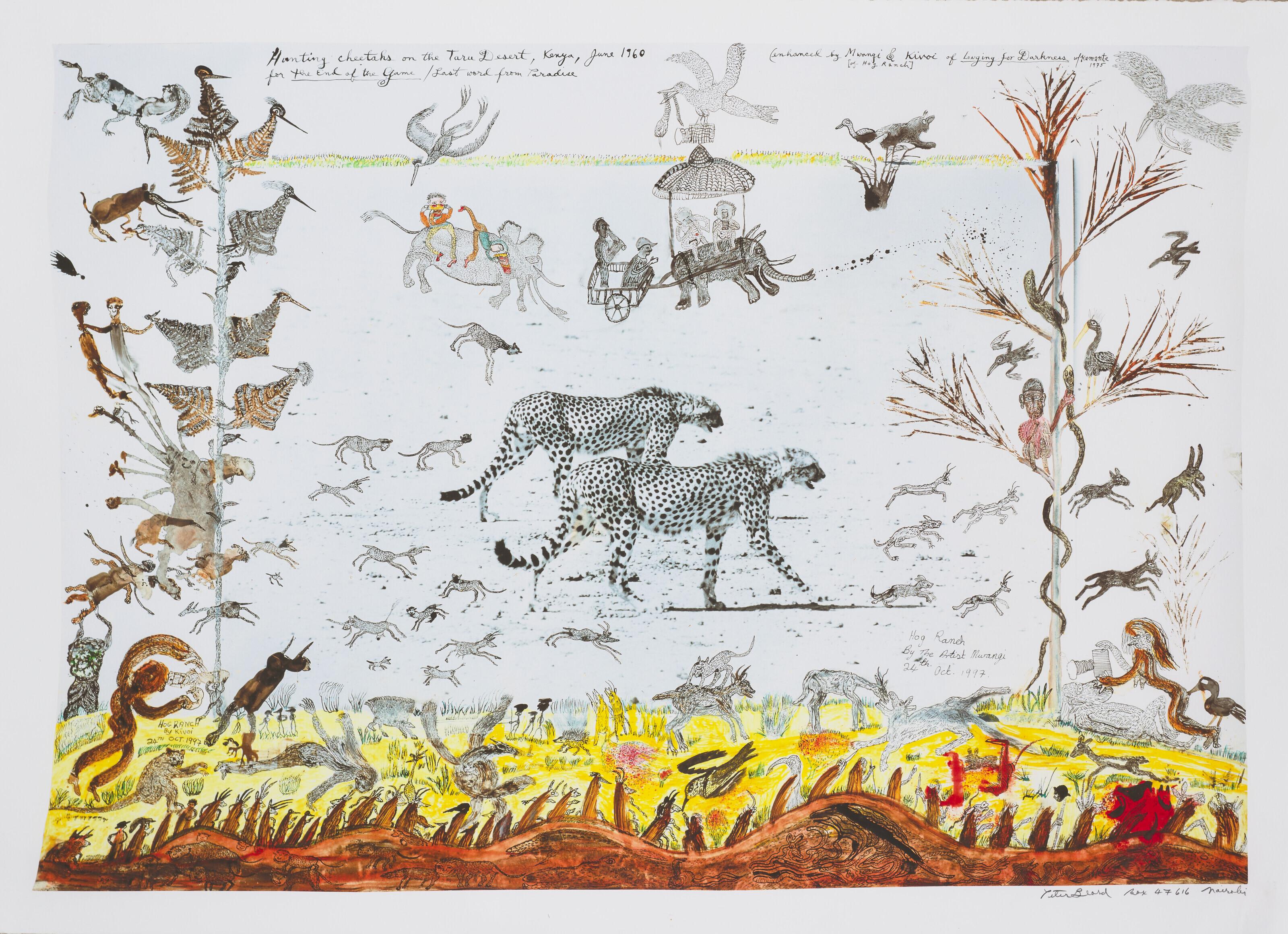 Peter Beard - Hunting Cheetahs on the Taru Desert, Kenya (for \'The End of the Game\'), June 1960