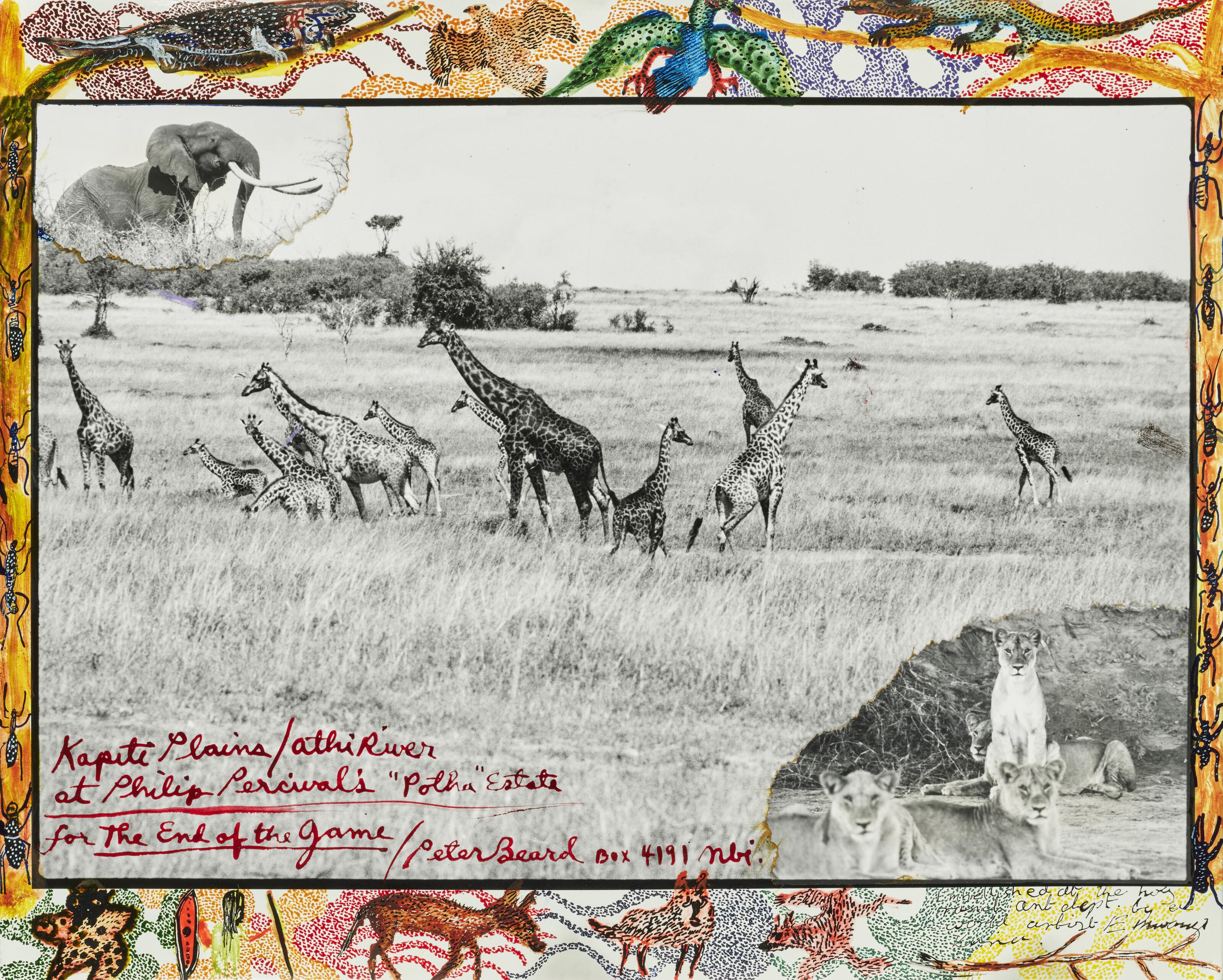 Peter Beard - Kaputi Plains / Athi River at Philip Percival\'s \