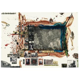 Peter Beard - Leopard In Bushes