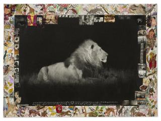 Peter Beard - Lion at Night, 1984