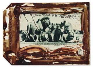 Peter Beard - \