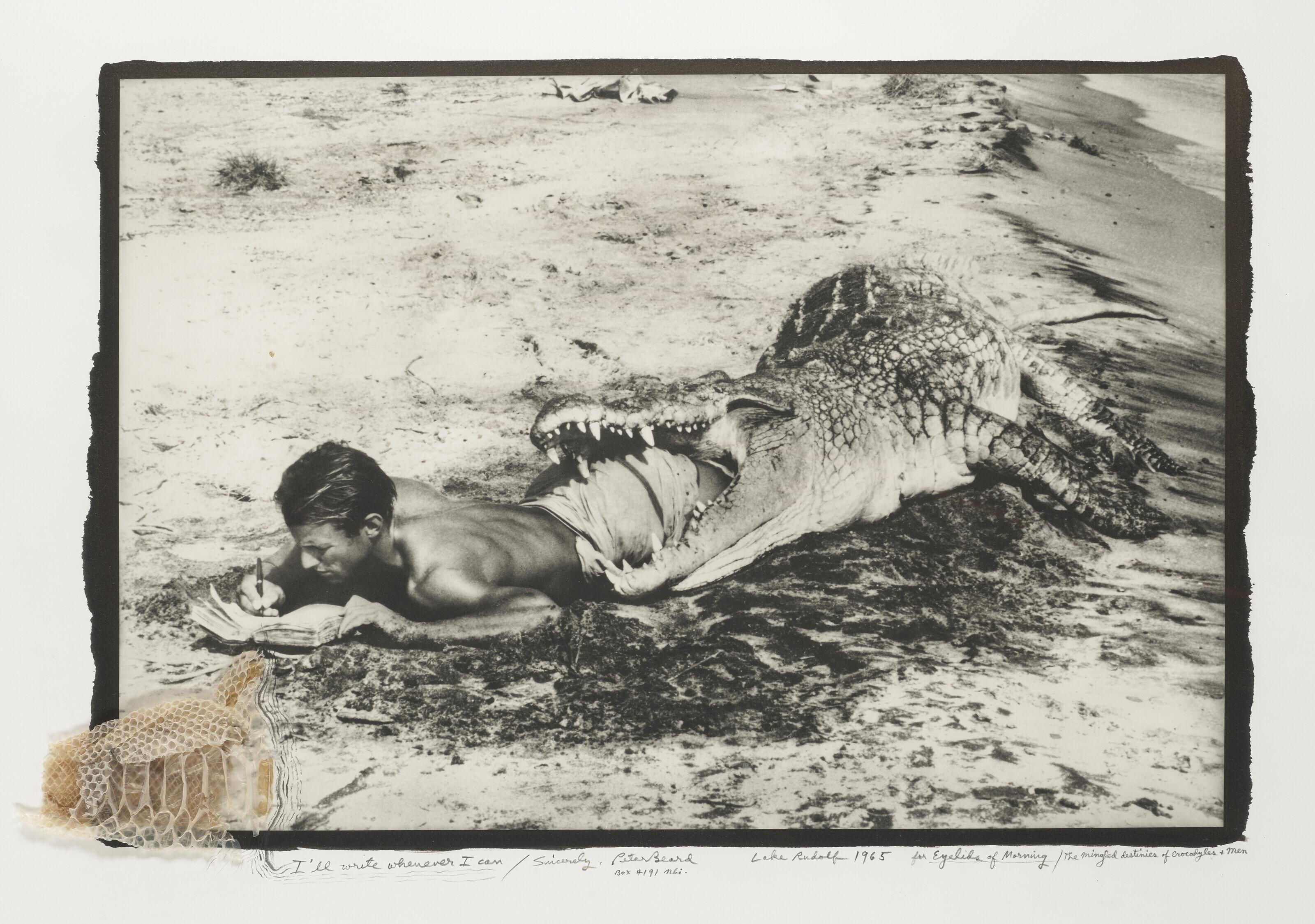 Peter Beard - l\'ll Write Whenever I Can, 1965