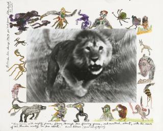 Peter Beard - Loliondo Lion Charge for \'End Game\', 1964