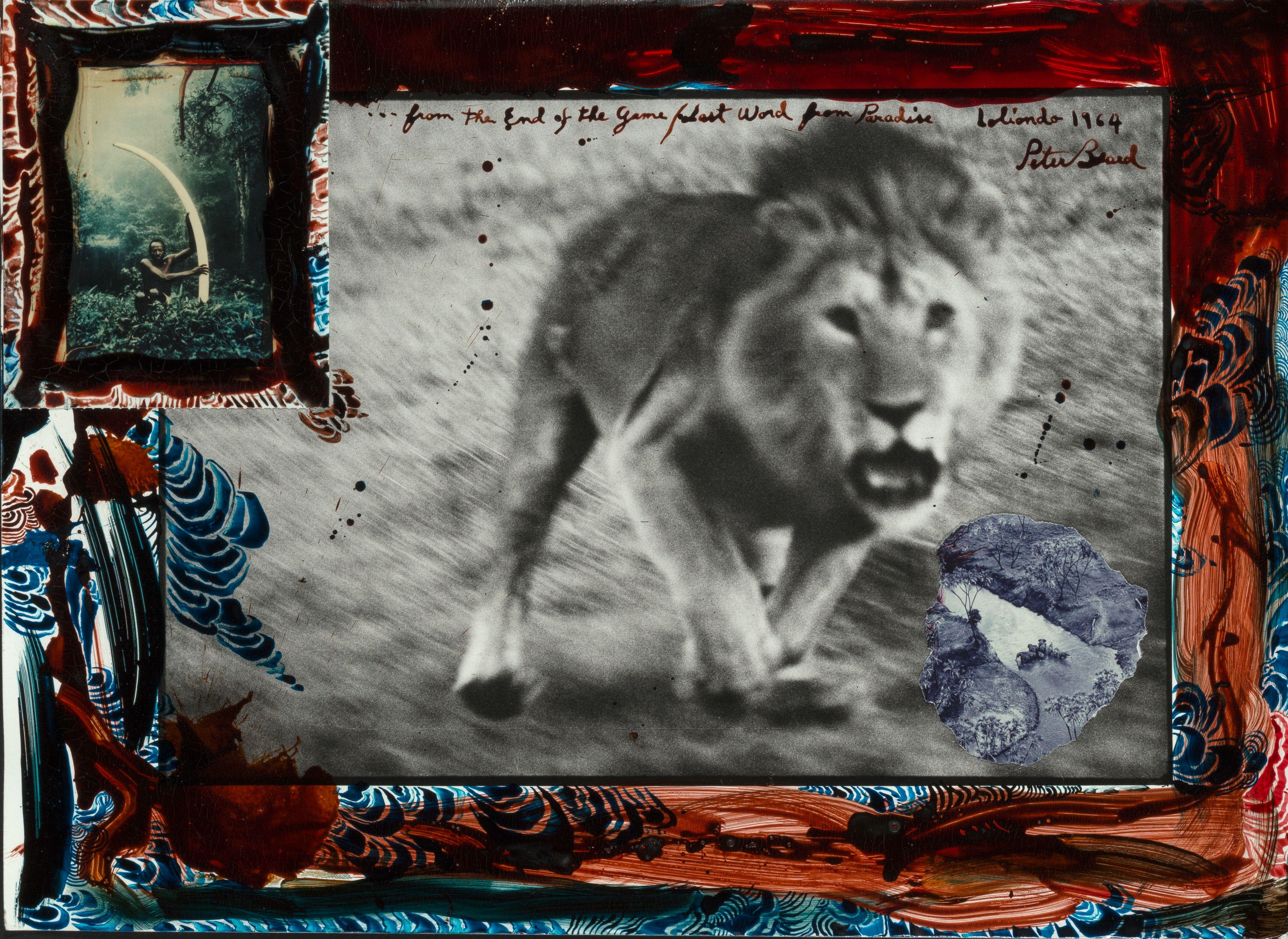 Peter Beard - Loliondo Lion Charge