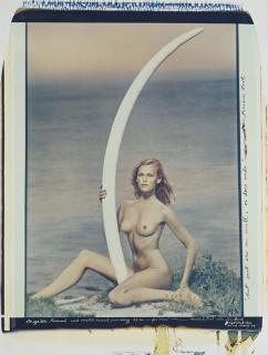 Peter Beard - Magritte Rammé and World-Record Cow-Ivory 45 lbs. - For \'Tusk\', Montauk Point, 1976