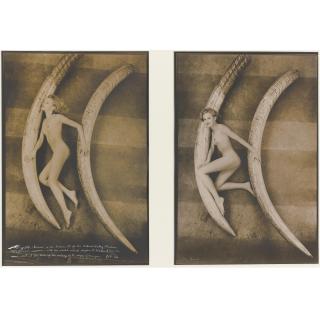 Peter Beard - Magritte Rammé With World Record Elephant Tusks