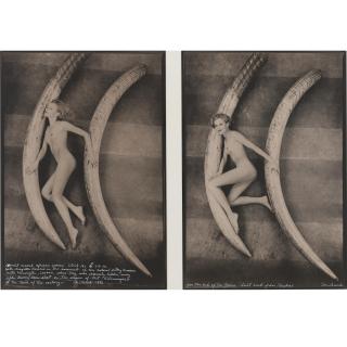 Peter Beard - \'Magritte Rammé With World Record Elephant Tusks\'