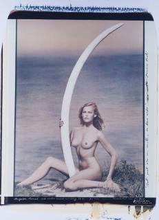 Peter Beard - Magritte Rommé And World Record Cow-Ivory