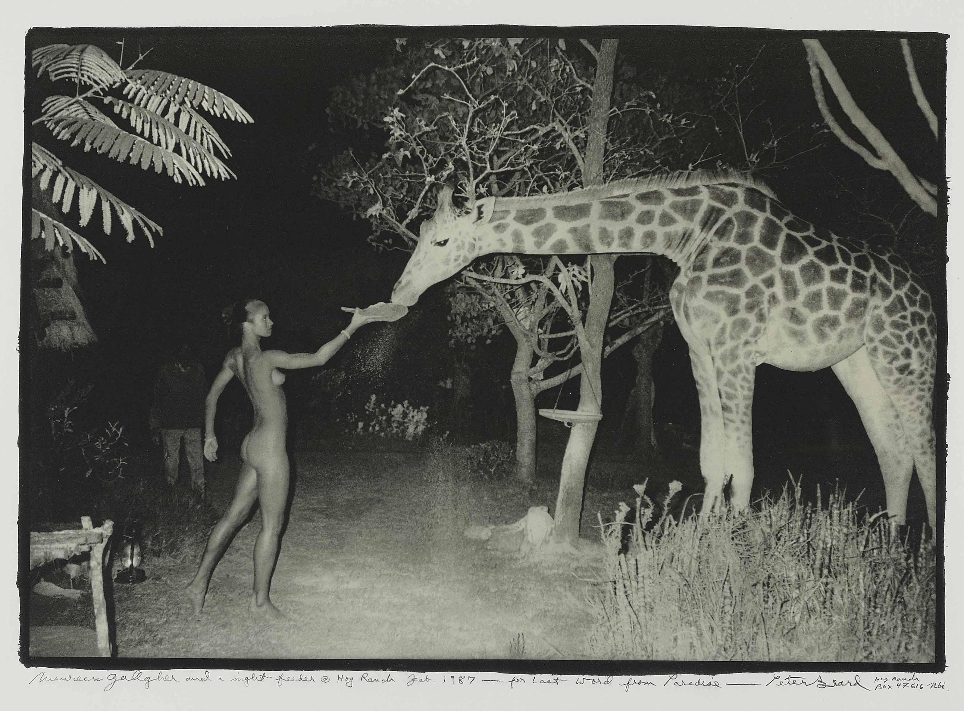 Peter Beard - Maureen Gallagher and a night feeder at Hog Ranch for \'Last word from Paradise\', Feb. 1987