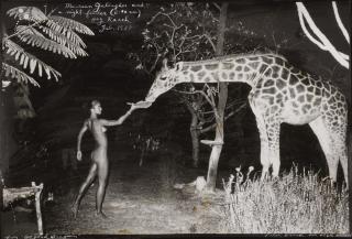 Peter Beard - \'Maureen Gallagher And Night-Feeder (2:00 A.M.) Hog Ranch, Feb. 1987’
