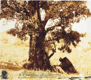 Peter Beard - Medicine Man Ol Lenana, February 1990