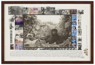 Peter Beard - One Year Old Mountain Gorilla, Rwanda, 1984