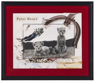 Peter Beard - Orphaned Cheetah Cubs at Mweiga near Nyeri, Kenya, 1968