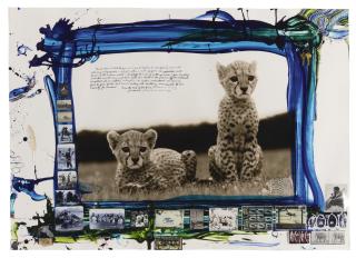 Peter Beard - Orphaned Cheetah Cubs, Mweiga, Kenya