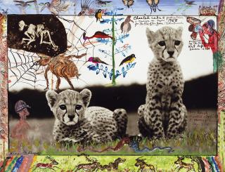 Peter Beard - Orphaned Cheetah Cubs, Mweiga, near Nyeri, Kenya, March 1968