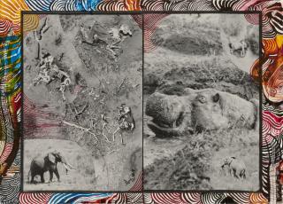 Peter Beard - Overpopulation & The gardeners of Eden, 1984