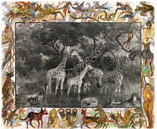 Peter Beard - \'Rothschild\'S Giraffes\', 1966/2008