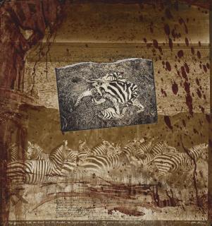 Peter Beard - The game is killing the game (Zebra Collage), 1976