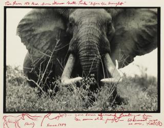 Peter Beard - \'Tiva River 150Lber From Tsavo Natl. Park \