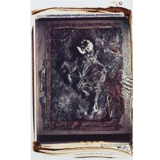 Peter Beard - \'Tsavo 1971-72 For The End Of The Game, Last Word From Paradise\'