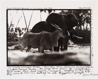 Peter Beard - \'Tsavo North @ Kathemula On Tiva Lugga\', Feb. 1965