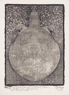 Peter Beard - Turtle On Lake Rudolf\'S Alia Bay For \'Eyelids Of Morning\', 1964-1966